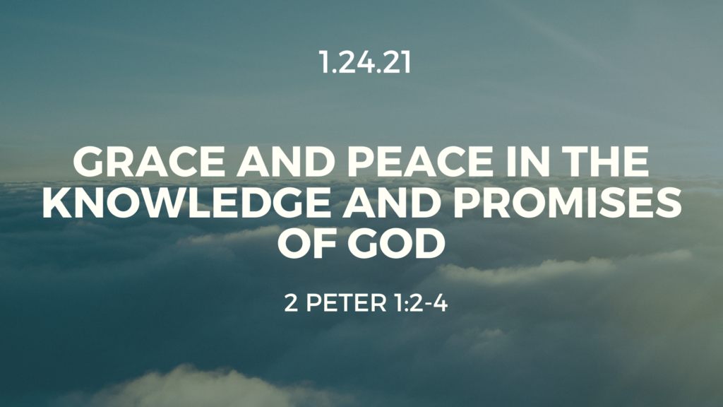 Grace and Peace in the Knowledge and Promises of God