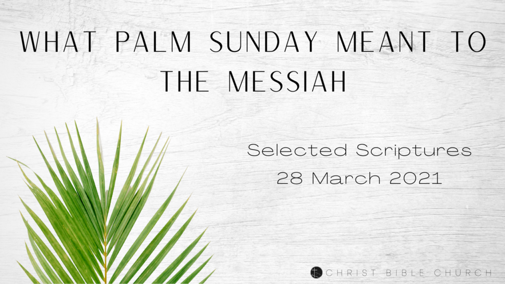 What Palm Sunday Meant to the Messiah