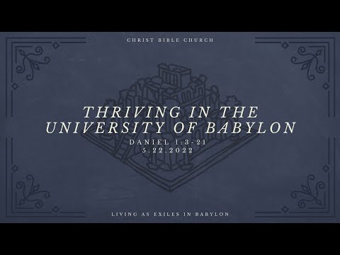Thriving in the University of Babylon